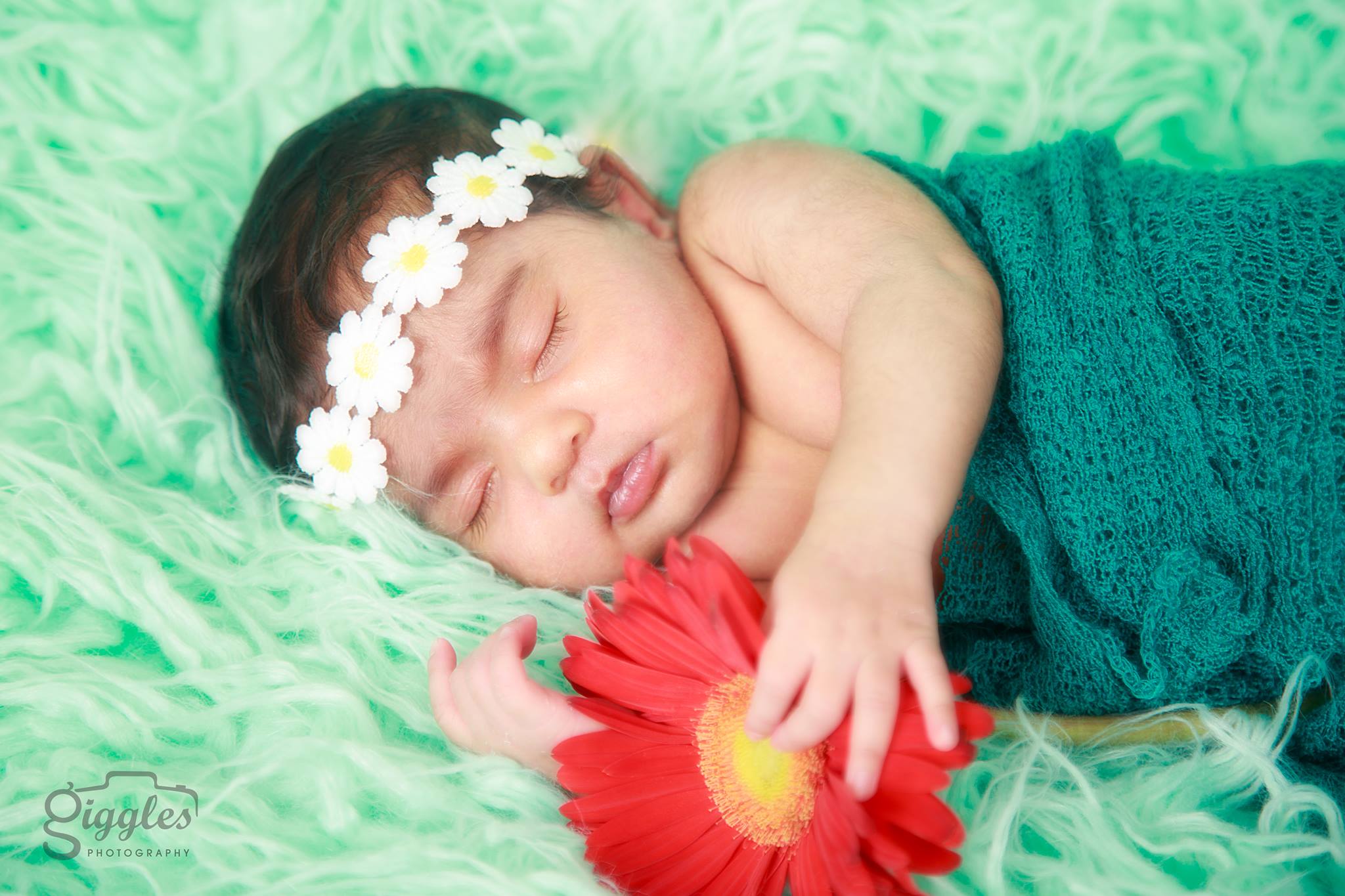 newborn photography, newborn photographer, newborn photography hyderabad, newborn photographer hyderabad, newborn photoshoot, newborn photoshoot hyderabad, best newborn photography, best newborn photographer, best newborn photography hyderabad, best newborn photographer hyderabad, best newborn photoshoot, best newborn photoshoot hyderabad, best newborn photoshoot hyderabad