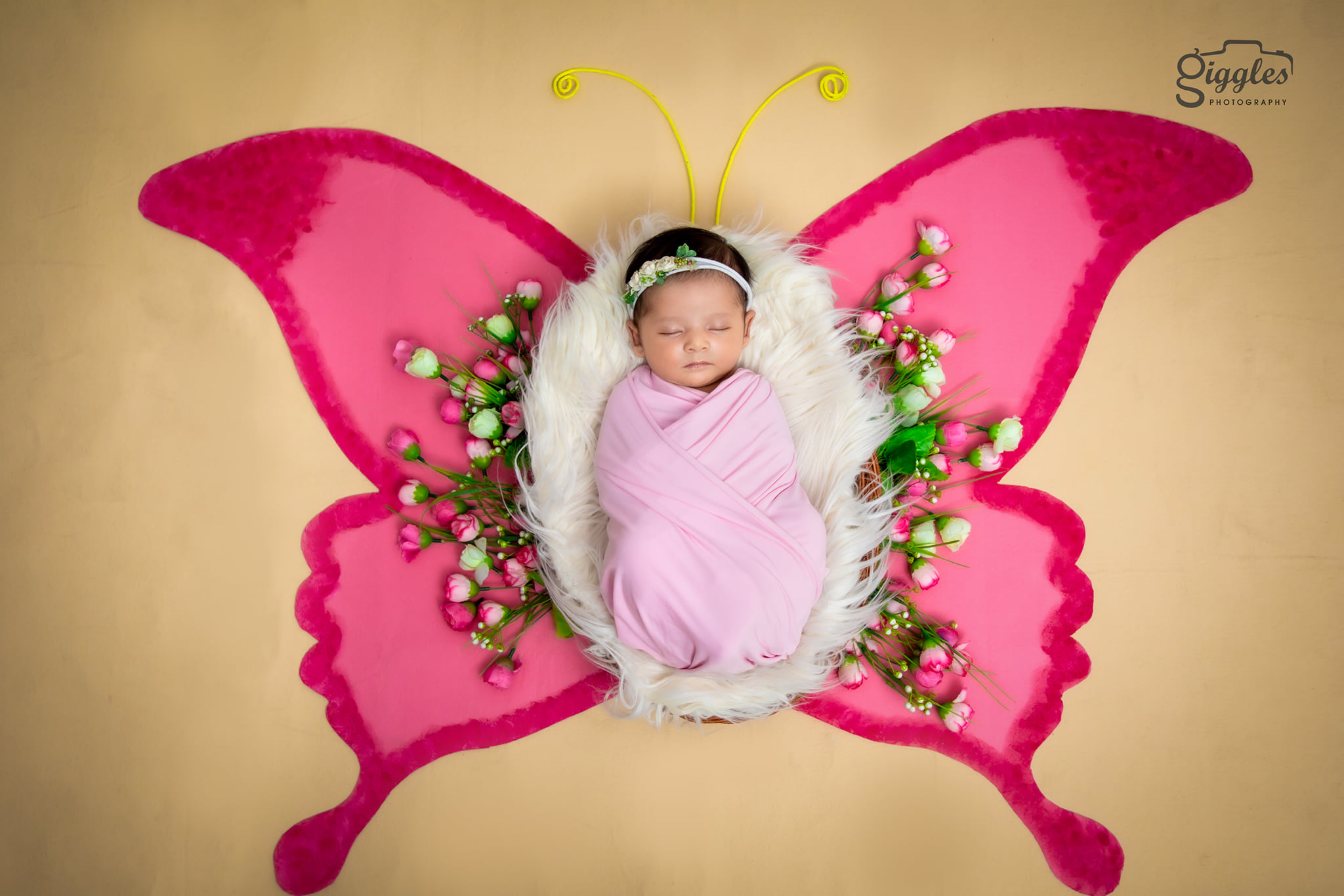 newborn photography